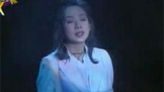 林忆莲 - 不必在乎我是谁