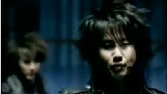 SS501 - Fighter
