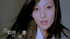 张韶涵 - 手心的太阳