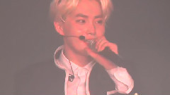 EXO - 庆祝SUHO生日