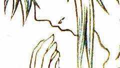 Kalafina - Fate/Another World Saber组