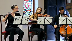 Johann Pachelbel ,音乐短片 - Canon In D