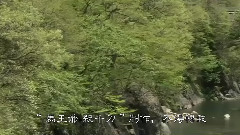 齐秦 - 一面湖水
