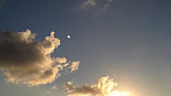 魏晨 - 向日葵的微笑