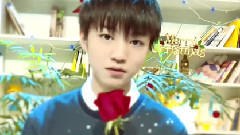 TFBOYS,TF家族 - 红玫瑰