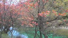 山清水秀