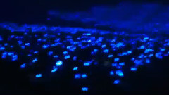 东海(Super Junior),Super Junior - 东海IG更新:Fukuoka Dome