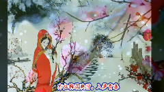梅的传奇-梅花雪