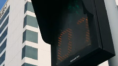华语群星 - 路人