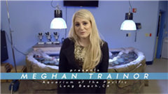Meghan Trainor - Lips Are Movin