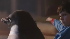 Monty The Penguin