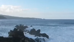 心海