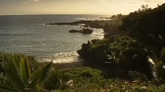 沧海一声笑