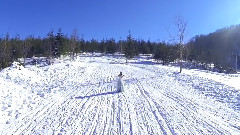 Canon In Snow