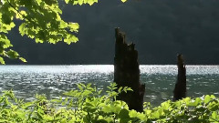 流水
