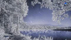Snowfall - SEAY