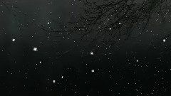 动漫专属 - 就算无法绽放,那一次的相遇,也一定包含着某种意义