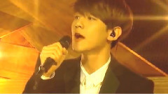 EXO - 我心中的宝石箱子 & 结婚蛋糕 - 2014 MBC歌谣大祭典 现场版 14/12/31