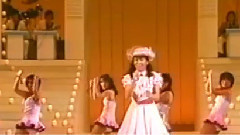 日本群星 - 夏の感情