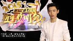 魏晨 - 2015辽宁卫视<新年欢唱会>采访