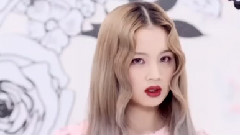 李夏怡 - Rose