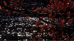 Hayley Westenra,音乐短片 - Dark Waltz(暗夜华尔兹)