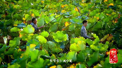 韩磊 - 游子吟