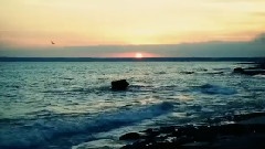 欧美群星 - All Over The Sea
