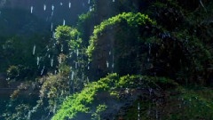 音乐短片,风景 - 山西壶关峡谷风光