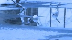 王菲 - 雪中莲