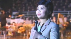 十五的月亮