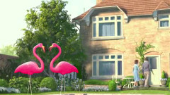 Elton John - Love Bulids A Garden