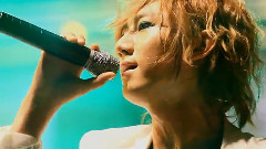 BEAST - Oasis