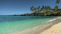 轻音乐 - RELAXING MUSIC For Studying HAWAII Beach NEW AGE Songs Relax