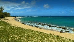 轻音乐 - RELAXING MUSIC For Studying OAHU BEACH Relax New Age Classical Slow Songs HAWAII Study