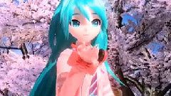 初音未来 - 桜ノ雨