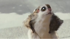 音乐短片 - New Breakfast Oaty Breaks