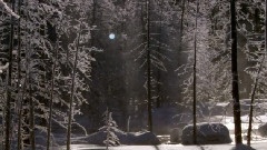 音乐短片 - River Flows In You