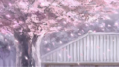 音乐短片 - 钢琴曲的洗礼