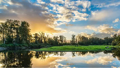 音乐短片 - 离家多年