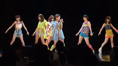 Fairies - Honey Vacation