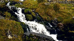 音乐短片 - Reveille