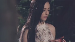 华语群星 - 真身