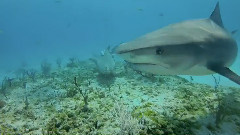 音乐短片 - Walls