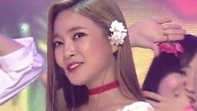 NS允智 - Honey Summer 现场版