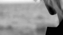 The Common Linnets - Calm After The Storm (official video)