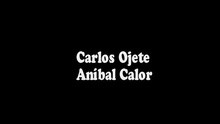 Cuidado Con El Cyborg (Corre Sarah Connor)