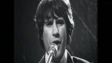 The Kinks,Diandra - You Really Got Me