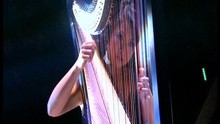 Fei Hua