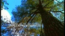 Ai Li Pu Yu Sai Na Wu